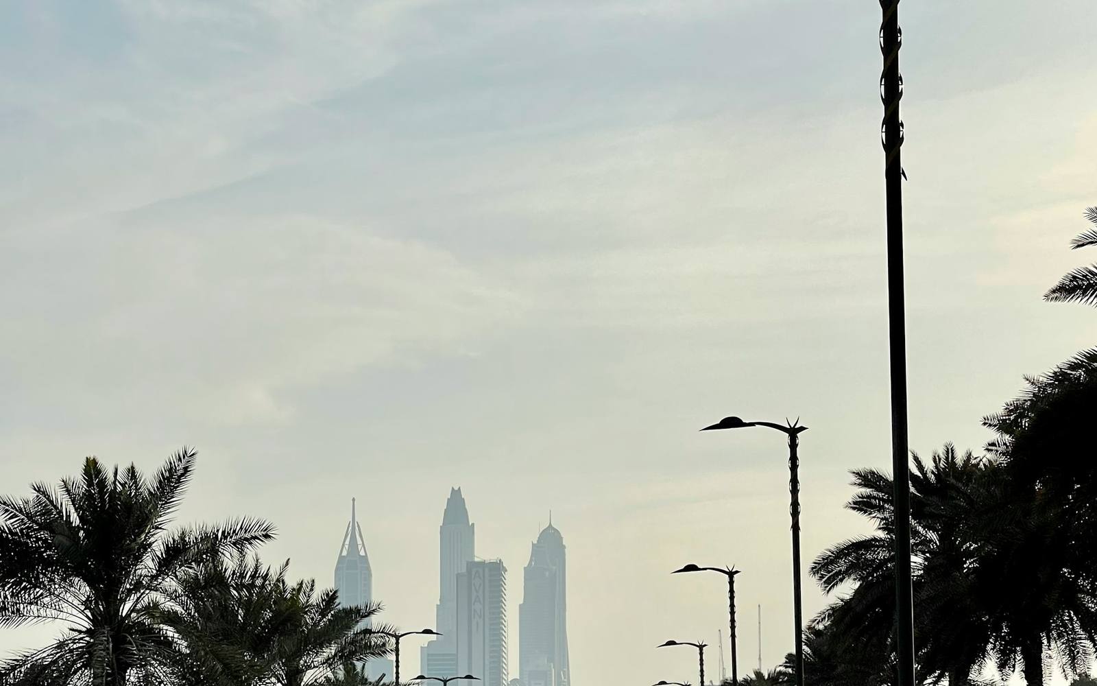 A Dubai boulevard lined with palms in morning haze