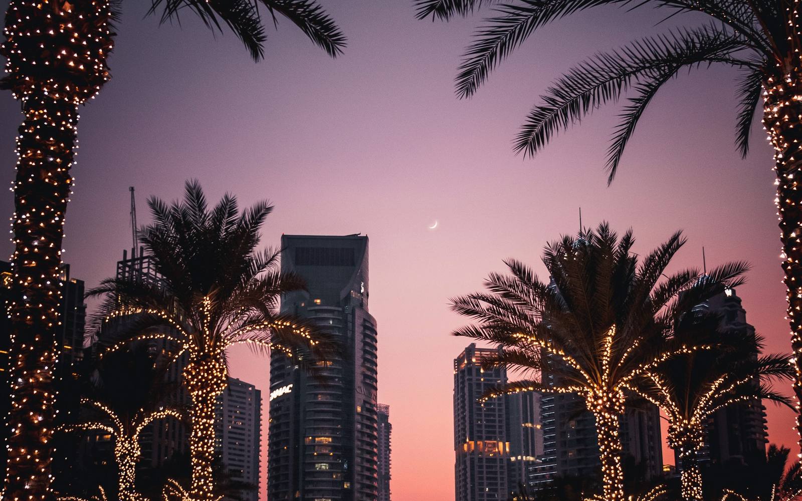 Palms strung with lights at dusk in Dubai